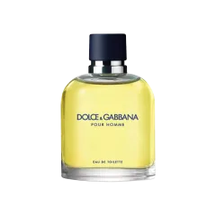 Dolce & Gabbana Pour Homme Eau De Toilette Spray For Men