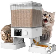 The Dual-Bowl Automatic Cat Feeder