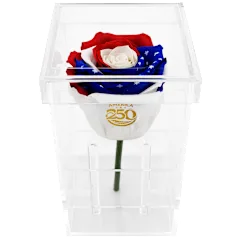 The Stemmed Stars & Stripes Preserved Rose
