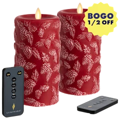 Martha Stewart 2-Piece Flameless 6" Pinecones and Evergreen