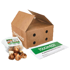 Touch Of ECO Mixed Sorbet Tulip Flower Bulbs