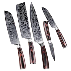 The 5-Piece Japanese Master Chef Knife Set