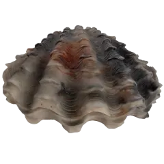 Barbara King Indoor/Outdoor Illuminated Sandstone Clam Shell Sculpture