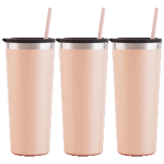 The Insulated Stainless Steel Tumblers Set