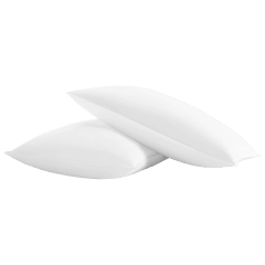 2-Pack: New York & Company Lux Down & Feather Cotton Pillows