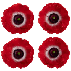 4-Pack: Candle Impressions Carved Poppy Luminaries