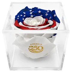 The Deluxe Stars & Stripes Preserved Rose