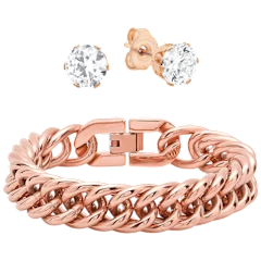 Steeltime Ladies Link Bracelet & Simulated Diamond Earrings