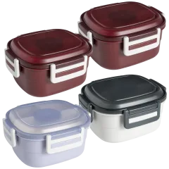 4-Pack: Bento Box 44oz To-go Containers with Ice Packs