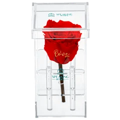 The Crystal-Encased Preserved Rose