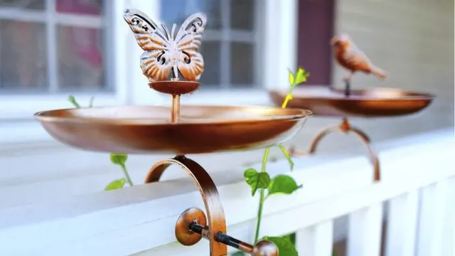 The Pollinator Garden Bird Bath