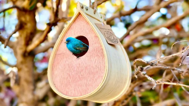 The Hand Crafted Natural Outdoor Bird House