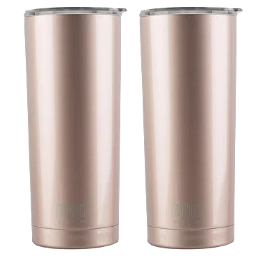 2-Pack: BUILT 20oz Double Wall Stainless Steel Tumblers