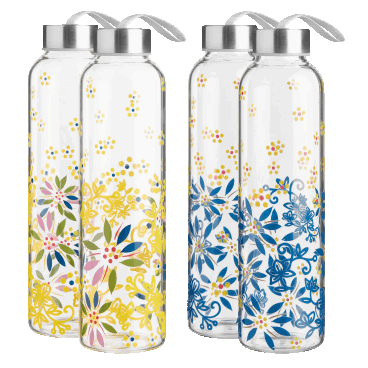 4-Pack: Temp-tations Travel Glass Bottles with Lids