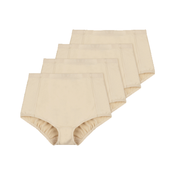 4-Pack: Maidenform Flexees Smoothing Briefs with Cool Comfort