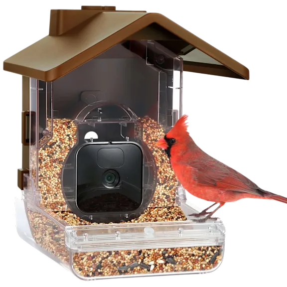 Wasserstein Bird Feeder Smart Camera Case Compatible with Ring, Blink & Wyze Cam
