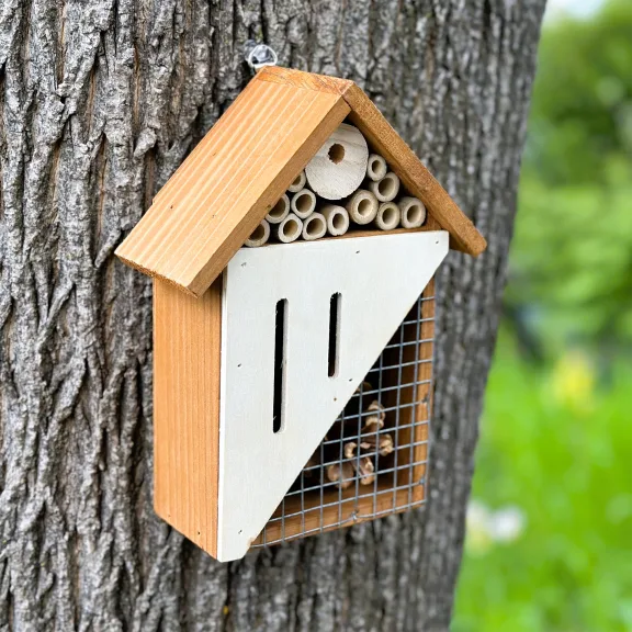 The Three-Compartment Hanging Insect Home