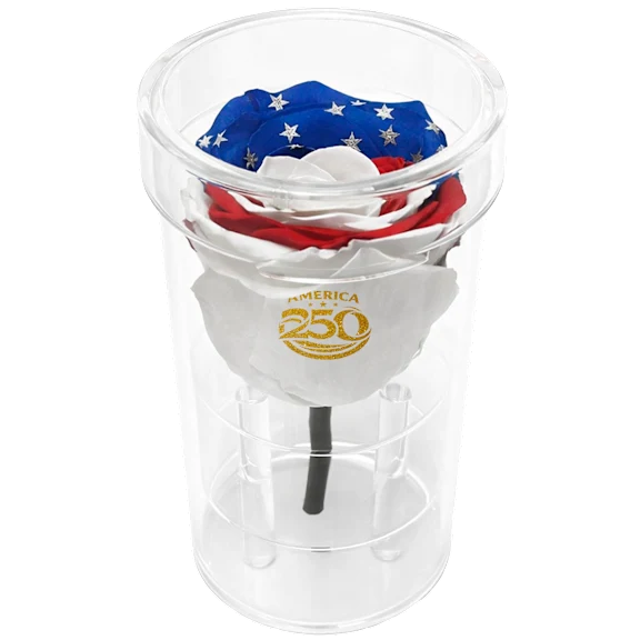 The Short-Stemmed Stars & Stripes Preserved Rose