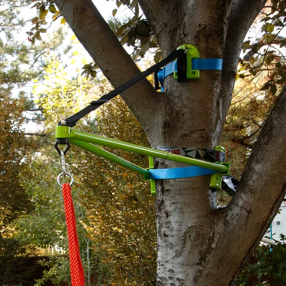 The Instant Tree Branch