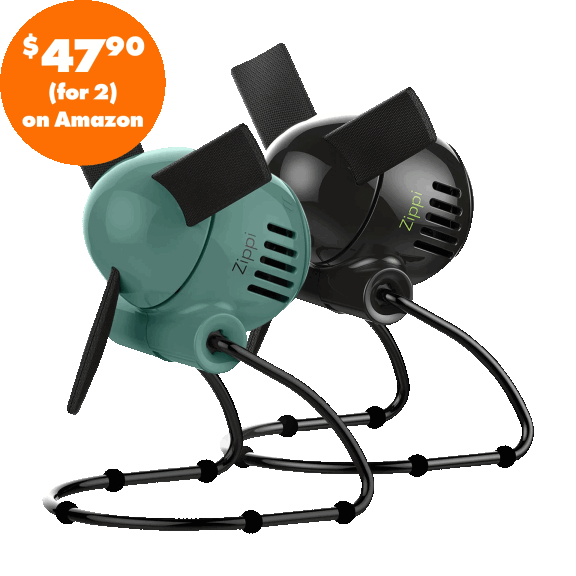 2-Pack: Vornado Zippi Personal Fans