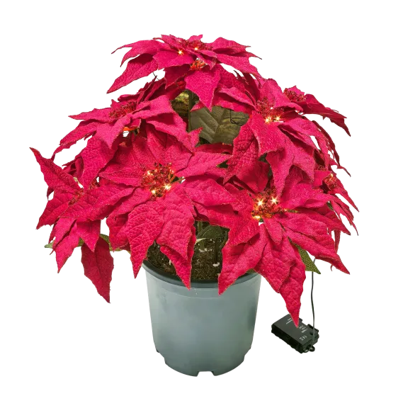 Everglow Cordless Poinsettia Urn Filler