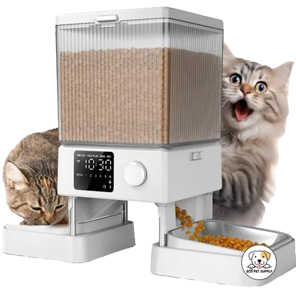The Dual-Bowl Automatic Cat Feeder