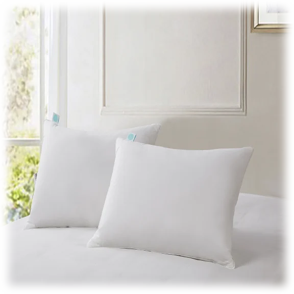 2 Pack: Martha Stewart 240 Thread Count Poly Around Feather and Down Pillow