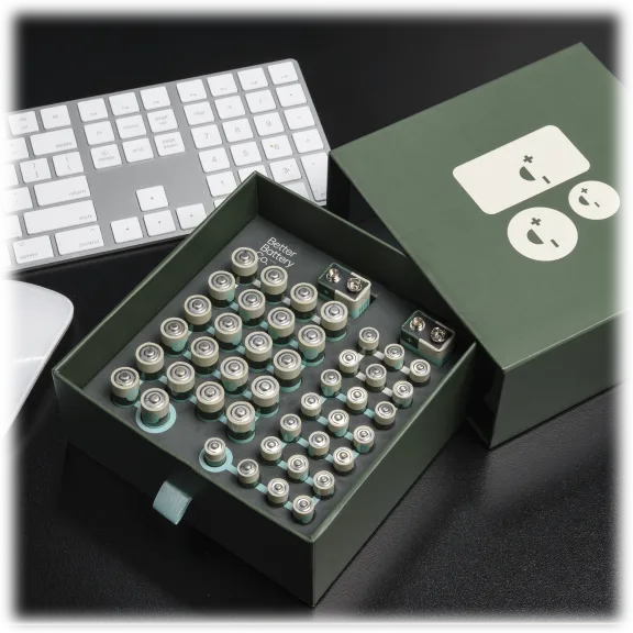 The All-Purpose Household Battery Variety Pack