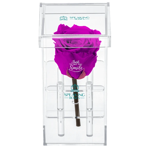 The "Just to See You Smile" Rose in Purple