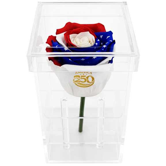 The Stemmed Stars & Stripes Preserved Rose