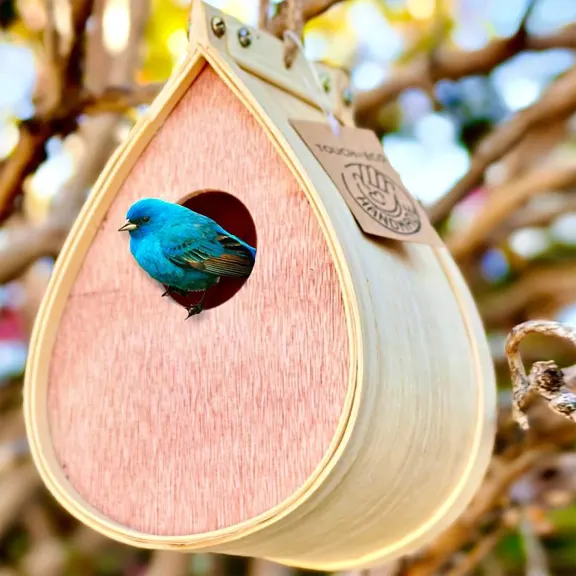 The Outdoor Polinating Birdhouse