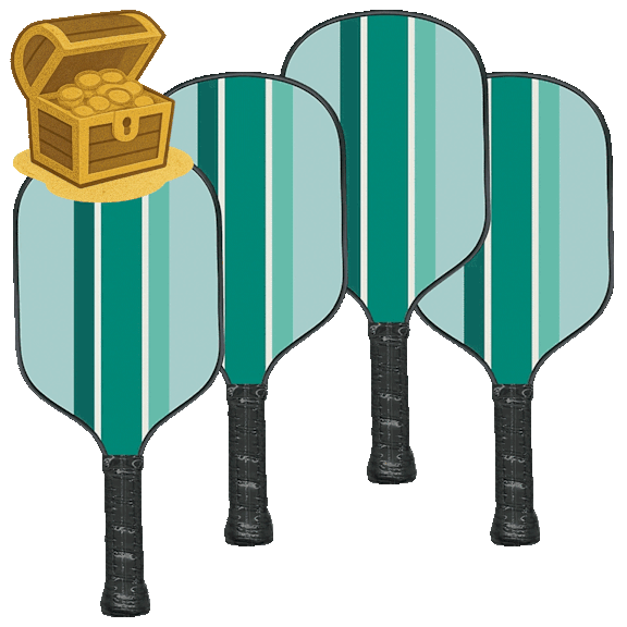 4-Pack: Jill & Ally Double-Sided Pickleball Paddles