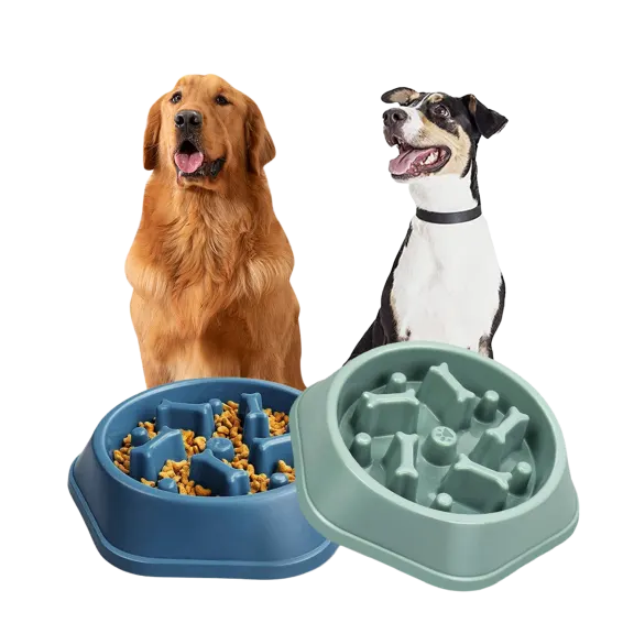 2-Pack: Titan Dog Food & Treats Bowl