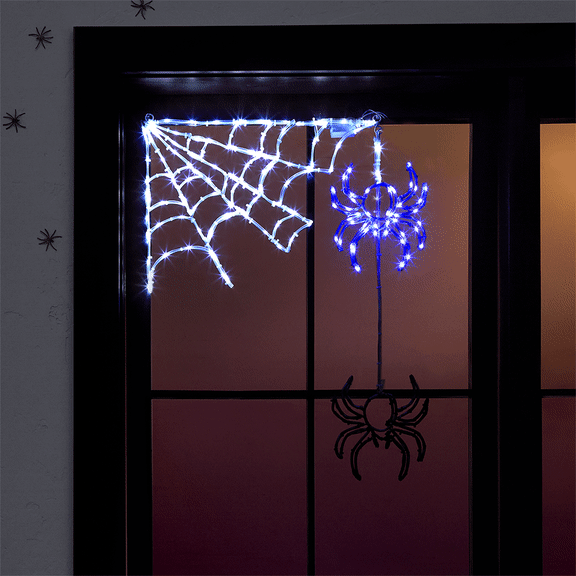 The Animated Hanging Spider with Web