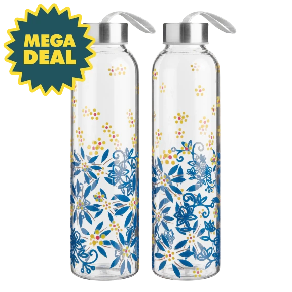 2-Pack: Temp-tations Travel Glass Bottles with Lids