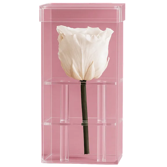 The "Happy Anniversary" Rose in White