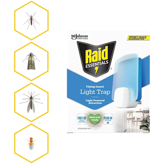 Raid Essentials Flying Insect Light Traps Kit with 5 Total Cartridges