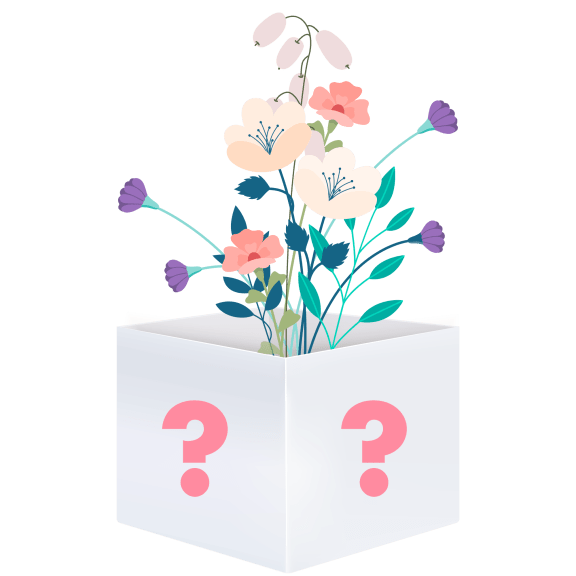 8-Piece Spring Mystery Bundle
