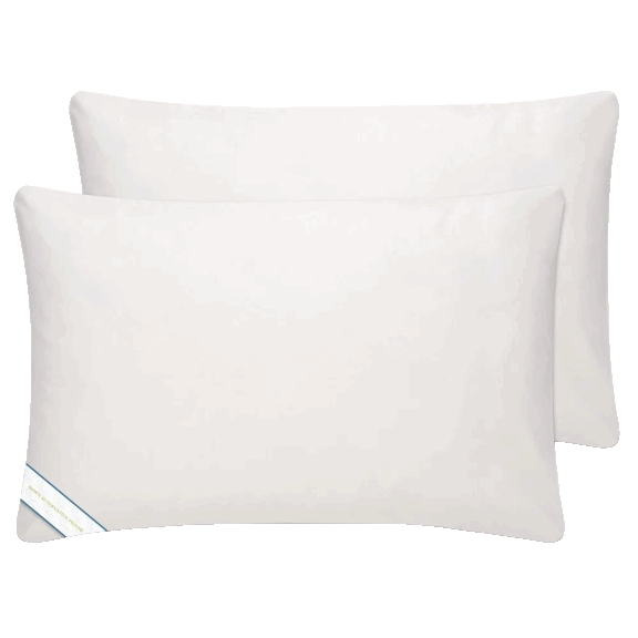 BeautySleep Down Alternative Pillow Sets