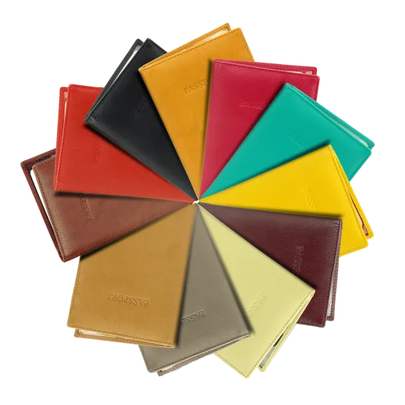 RFID Identity Theft Protection Leather Passport Wallet by Visconti