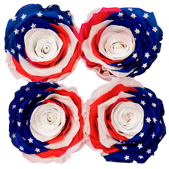 The Quartet of Stars & Stripes Preserved Roses