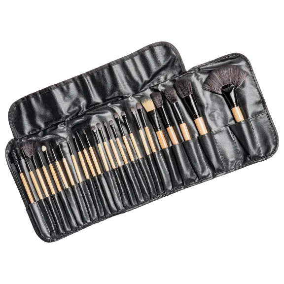 Makeup Brush Studio 24-Piece Set with Travel Case