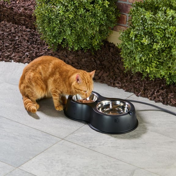 The Heated Outdoor Cat Bowls