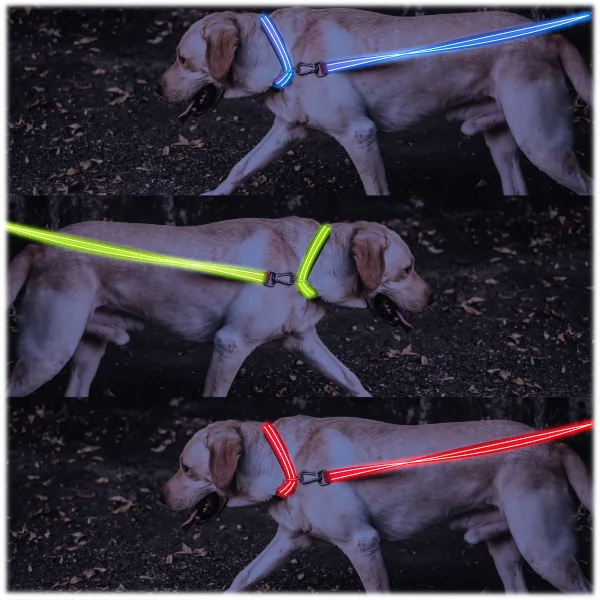 4ID LED Dog Leash and Collar
