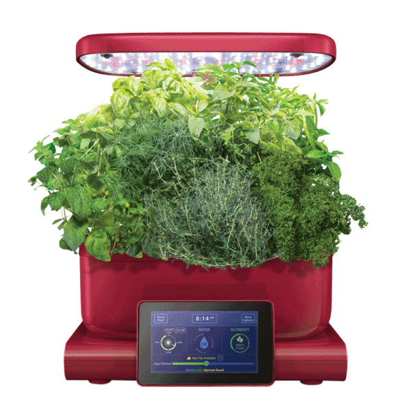 AeroGarden Harvest Touch