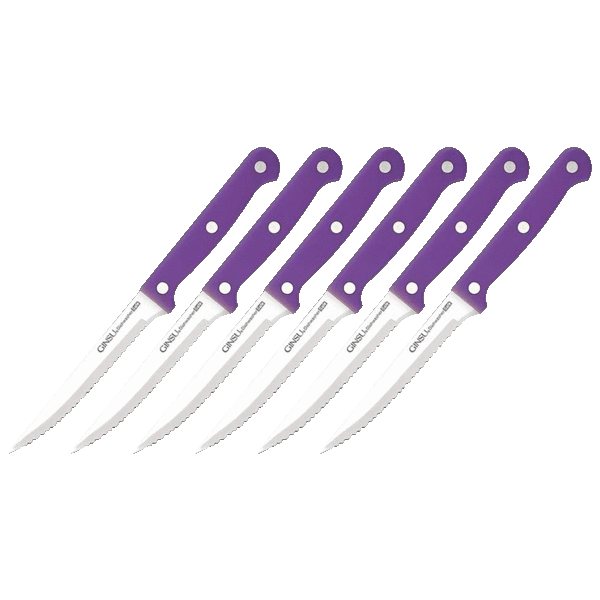 Ginsu 6-Piece Kiso Dishwasher Safe Steak Knives
