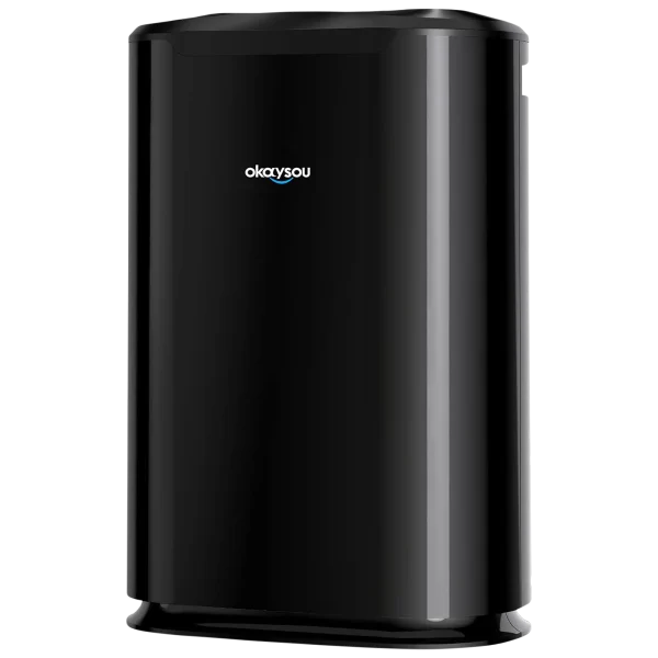 Okaysou Large Air Purifier