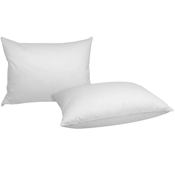 2-for-Tuesday: iEnjoy Down Pillows (Standard or King)