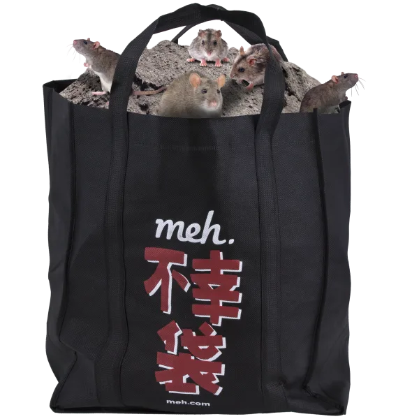 Fukobukuro 19: Fools Rush In