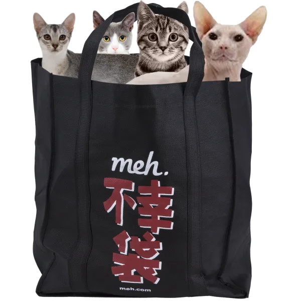 Fukobukuro 19: Fools Rush In